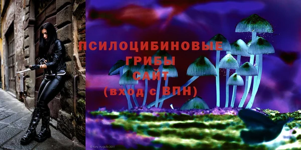 mix Новодвинск